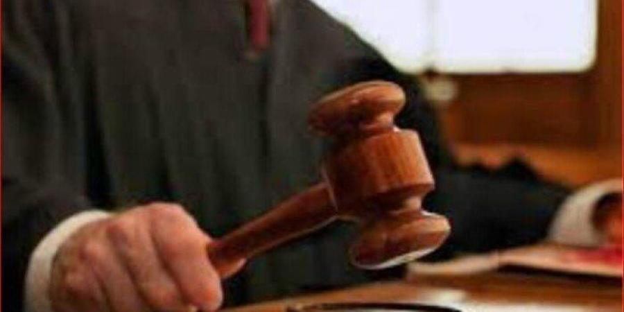 إعادة محاكمة متهمين في قضية «الهيكل الإداري بالهرم» اليوم - تواصل نيوز