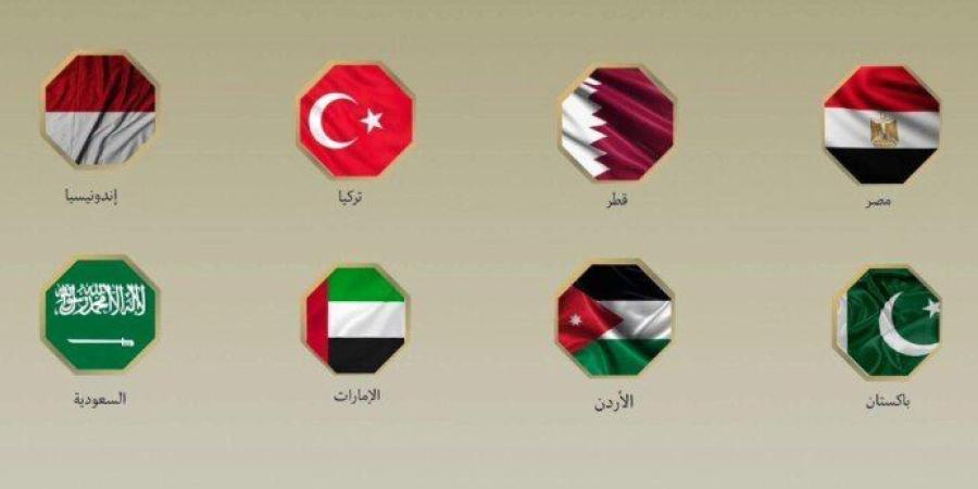 اجتماع ثماني في نيويورك.. مصر و7 دول تدعو للالتزام بوقف إطلاق النار بغزة - تواصل نيوز