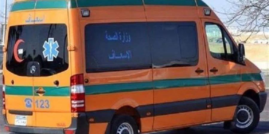 لم تنقذها الصرخات، تفاصيل مقتل فتاة داخل الزراعات في شبين القناطر - تواصل نيوز