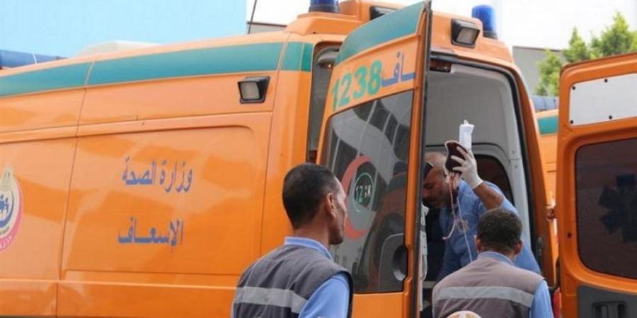 جهود أمنية مكثفة للقبض على المتهم بإصابة والدته في أبوتشت بقنا - تواصل نيوز