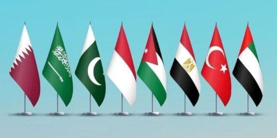 بيان عربي إسلامي في نيويورك يطالب بالالتزام بوقف إطلاق النار في غزة ويرفض التهجير والاستيطان - تواصل نيوز