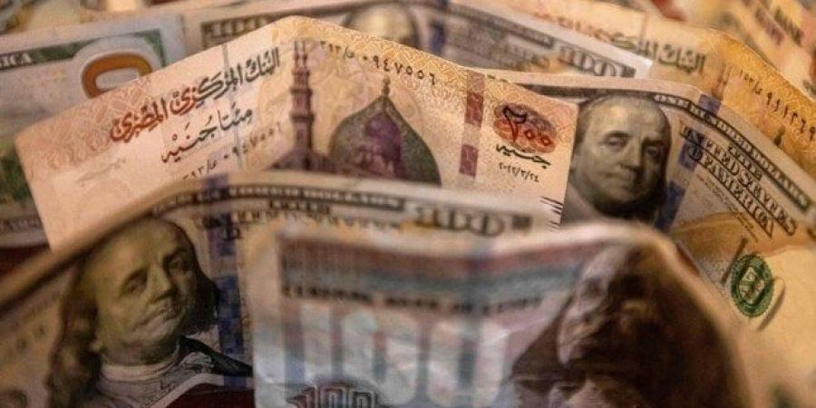 سعر الدولار ينخفض 1.4% خلال الأسبوع الجاري وسط تدفقات أجنبية في أذون الخزانة - تواصل نيوز