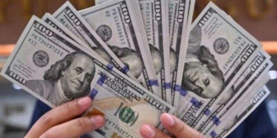 الدولار يواصل الانخفاض أمام الجنيه المصري قبل اجتماع البنك المركزي غدا - تواصل نيوز