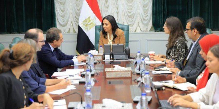 وزيرة التضامن تبحث مع السفير الفرنسي بالقاهرة تعزيز سبل التعاون المشترك - تواصل نيوز