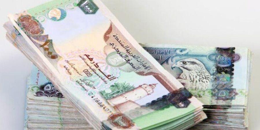قبل قرار البنك المركزي.. سعر الدرهم الإماراتي اليوم الخميس 24 سبتمبر 2026 - تواصل نيوز