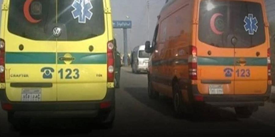 جثة شاب مقطوع الشرايين، ماذا حدث داخل "شقة المنيرة الغربية"؟ - تواصل نيوز