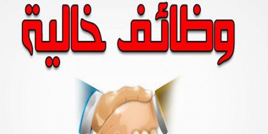 150 فرصة عمل في شركة حلويات بالقليوبية.. رواتب تصل إلى 13 ألف جنيه - تواصل نيوز