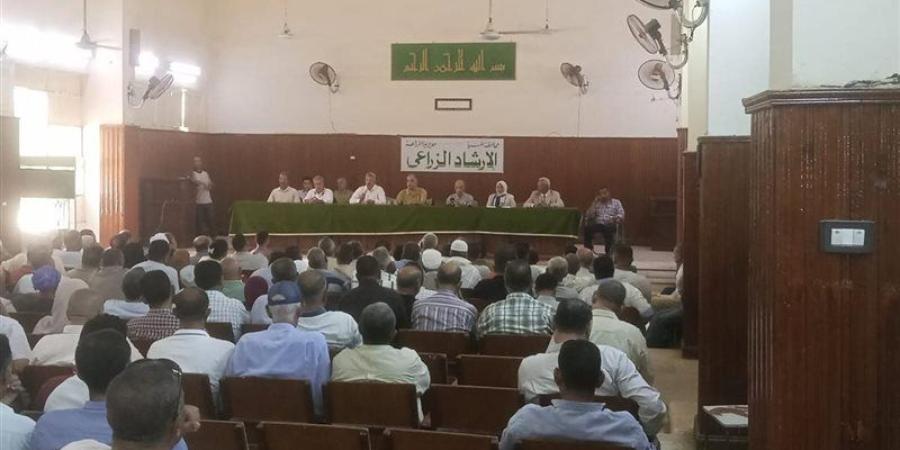 من قلب الصعيد، اتحاد الحاصلات البستانية والتحالف العربي يدعمان منظومة تقاوي البطاطس بالمنيا - تواصل نيوز