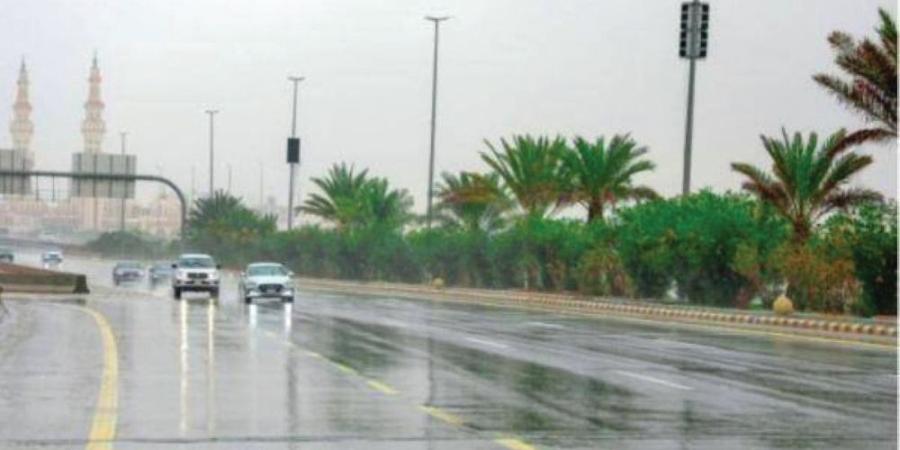 الباحة.. أمطار وصواعق رعدية ورياح شديدة حتى 8 مساءً - تواصل نيوز