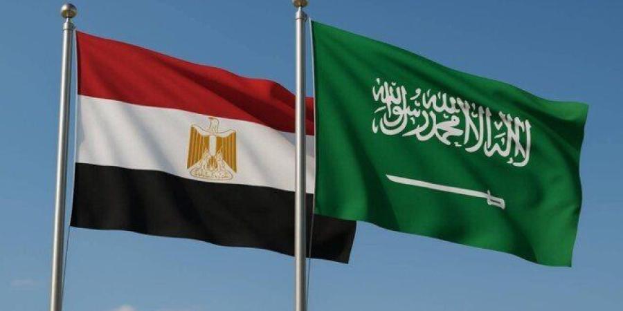 مصر تتضامن مع السعودية بعد استهداف الطائف وينبع.. وتحذير من خطورة التصعيد بالمنطقة - تواصل نيوز