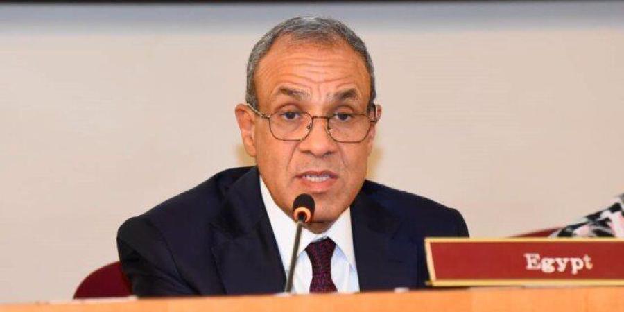 مصر تنظم فعالية وزارية في نيويورك حول القيادة الأفريقية والوقاية الوطنية وبناء السلام «صور» - تواصل نيوز
