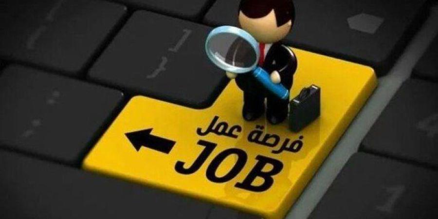 وظائف المترو الجديدة 2026.. الشروط وطريقة التقديم والتخصصات المطلوبة - تواصل نيوز