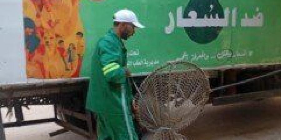 استجابةً لشكاوى الأهالي.. تحرك عاجل لمواجهة ظاهرة «الكلاب الضالة» في السنبلاوين - تواصل نيوز