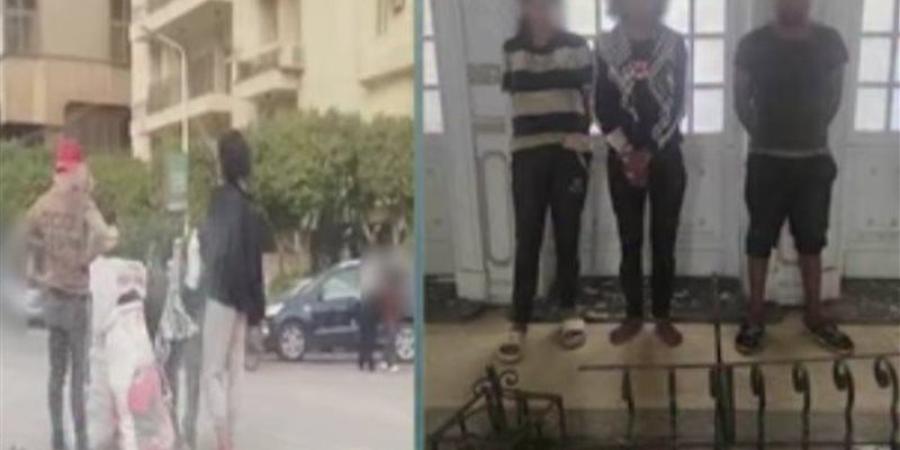 مقطع فيديو يقود إلى ضبط 3 متهمين بسرقة حديد أعمدة الإنارة بالدقي - تواصل نيوز