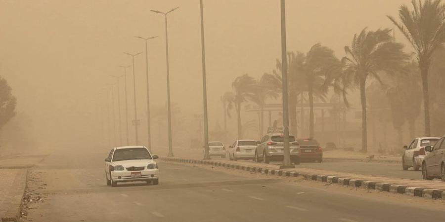 الطقس اليوم.. فرص أمطار ببعض المناطق ونشاط رياح والعظمى بالقاهرة 31 درجة - تواصل نيوز