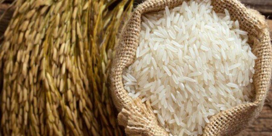 سعر طن الأرز الشعير والأبيض اليوم السبت 26 سبتمبر 2026 - تواصل نيوز