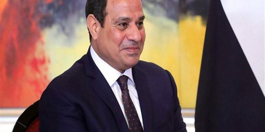 السيسي: نتطلع إلى التعاون مع "أورنج" في تنفيذ المرحلة الثانية من مشروع الصحة الرقمية الوطني - تواصل نيوز