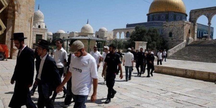مستعمرون يقتحمون المسجد الأقصى المبارك بحراسة مشددة من شرطة الاحتلال - تواصل نيوز