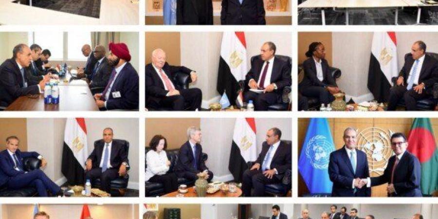 دعم قضايا دول الجنوب وإصلاح الأمم المتحدة.. نشاط مكثف لوزير الخارجية في نيويورك - تواصل نيوز