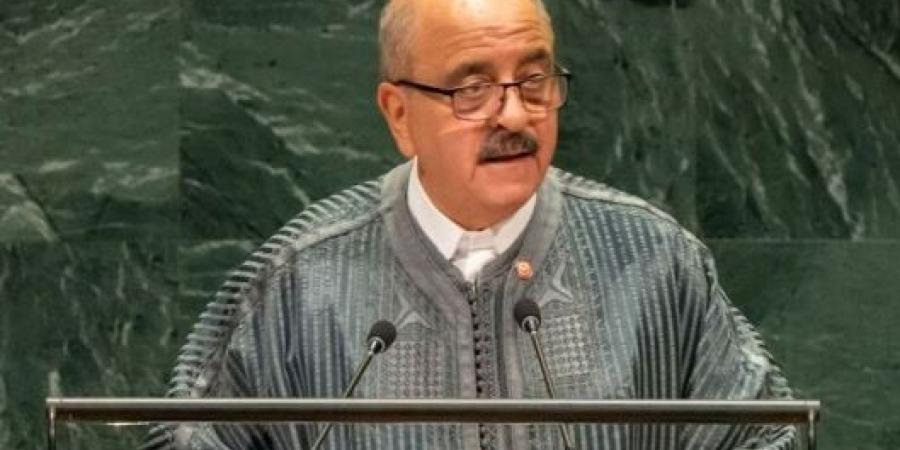 الأمم المتحدة.. تونس تدعو إلى خفض التصعيد في الشرق الأوسط وضمان حرية الملاحة - تواصل نيوز