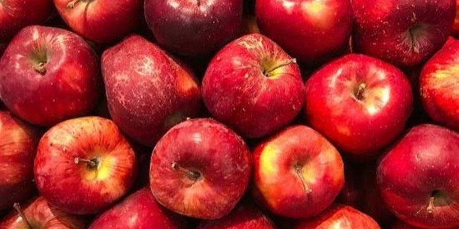 تفسير رؤية التفاح الأحمر في المنام وعلاقتها بزيادة في المال - تواصل نيوز