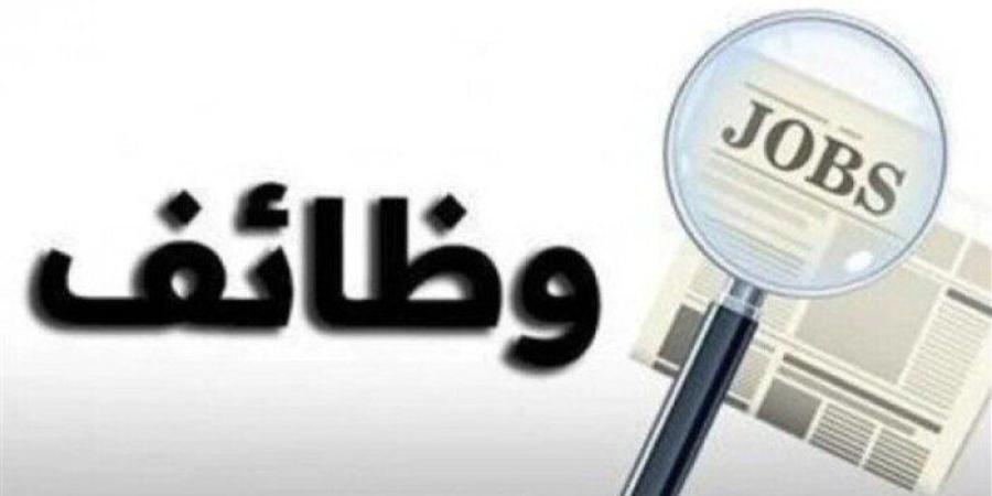 وظائف خالية في الجيزة براتب 12 ألف جنيه.. الشروط والتخصصات والأوراق المطلوبة - تواصل نيوز