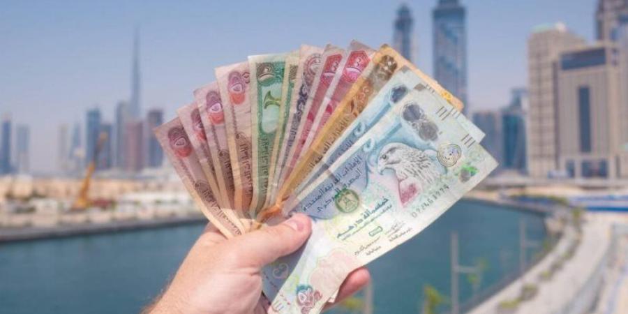 آخر تطورات سعر الدرهم الإماراتي مقابل الجنيه في البنوك المصرية مساء اليوم - تواصل نيوز