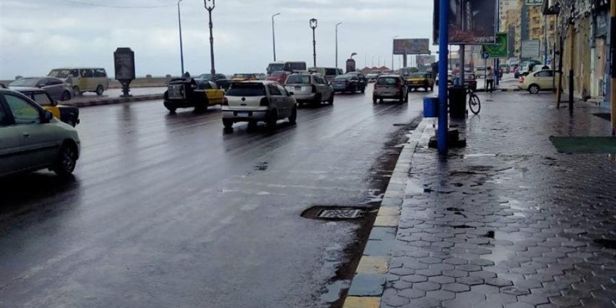 هطول أمطار على الإسكندرية والمحافظة تعلن حالة الطوارئ - تواصل نيوز