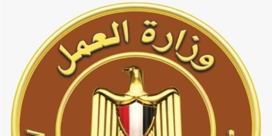 958 فرصة عمل جديدة في 12 محافظة (تفاصيل) - تواصل نيوز