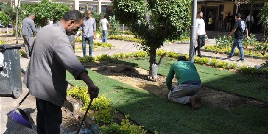 بعد فيديو قطع الأشجار، تجارة عين شمس تعيد زرع الحرم الجامعي (صور) - تواصل نيوز
