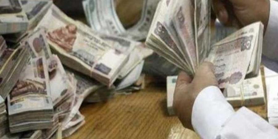 ضربة حاسمة لتجار «الأخضر».. الداخلية تضبط قضايا قيمتها 10 ملايين جنيه - تواصل نيوز