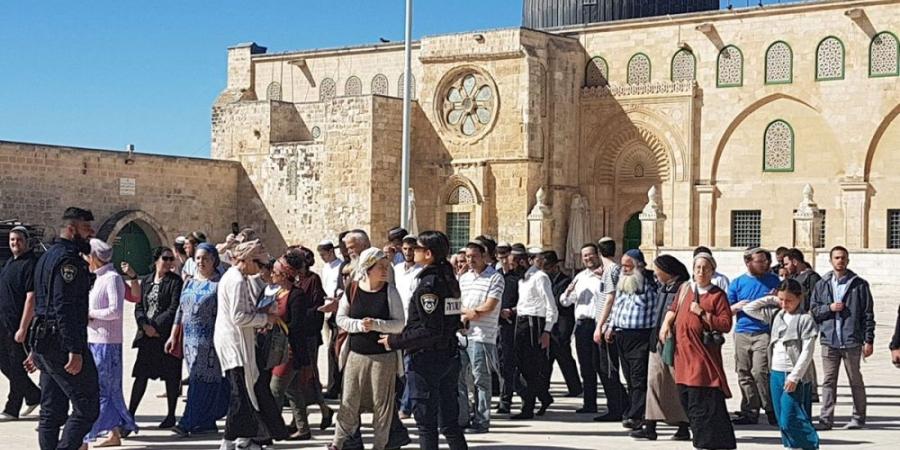 المملكة تدين استمرار الممارسات الإسرائيلية الاستفزازية بحق المسجد الأقصى - تواصل نيوز