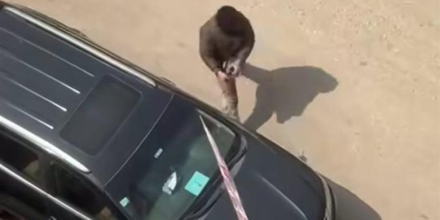 القبض على المتهم بتحطيم السيارات والممتلكات في عزبة النخل - تواصل نيوز