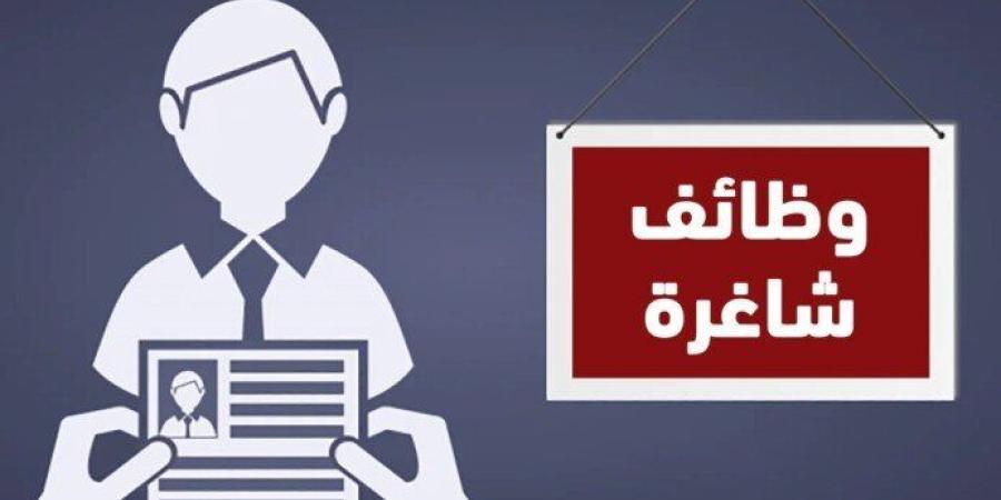 مرتبات 20 ألف جنيه.. تفاصيل وظائف شركة المكسرات والحبوب وطريقة التقديم - تواصل نيوز