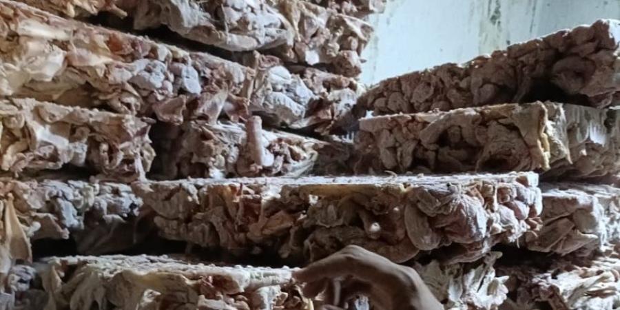 ضبط (70) طن من اللحوم والدواجن الفاسدة وغير الصالحة للاستهلاك الآدمي بالجيزة - تواصل نيوز