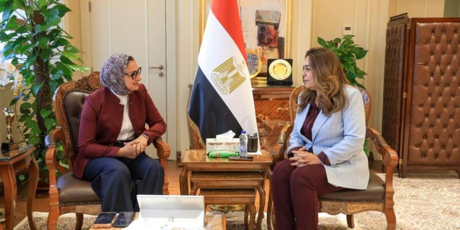 وزيرة التنمية المحلية والبيئة تتابع مع محافظ الوادى الجديد مشروعات «حياة كريمة» والاستثمارات - تواصل نيوز