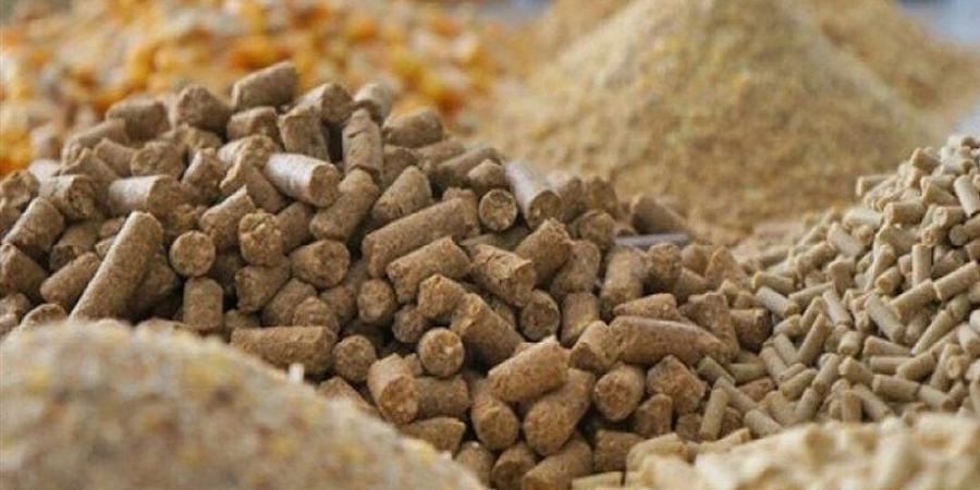 انخفاض الردة والصويا، أسعار الأعلاف والحبوب اليوم في الأسواق - تواصل نيوز