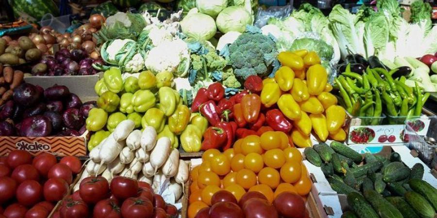 سعر الخضار اليوم، ارتفاع الخيار والبصل والباذنجان وانخفاض الثوم 5 جنيهات - تواصل نيوز