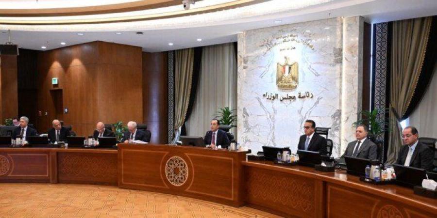 «وقف العمل أونلاين» أبرزها.. 9 قرارات جديدة لمجلس الوزراء خلال الاجتماع الأسبوعي - تواصل نيوز