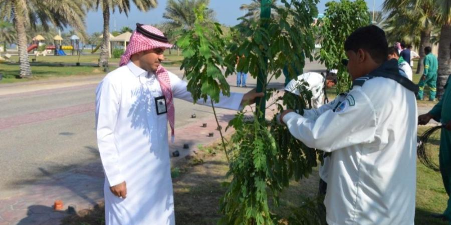 400 طالب وطالبة يشاركون في مبادرات تشجير حدائق الشرقية - تواصل نيوز