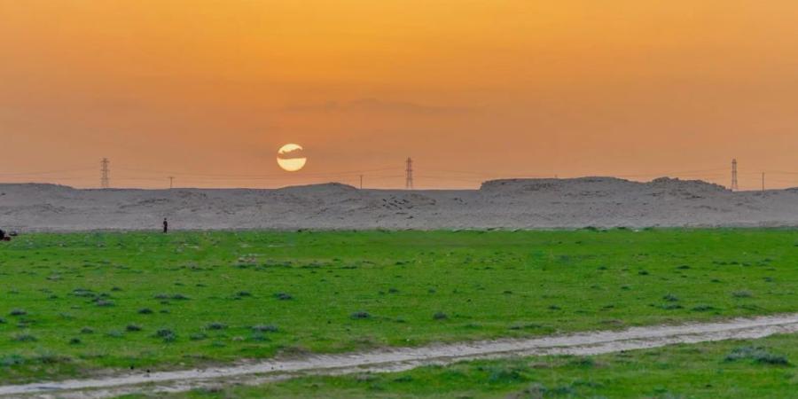 المملكة تستعرض تجربتها في استدامة المراعي خلال منتدى البيئة بالقاهرة - تواصل نيوز