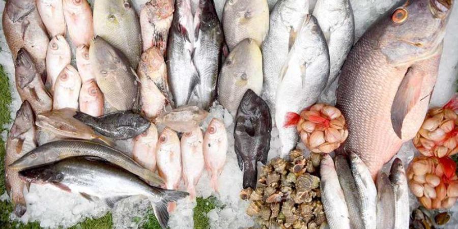 أسعار السمك اليوم، انخفاض البلطي وقفزة في الكابوريا والبوري تصل إلى 40 جنيها - تواصل نيوز