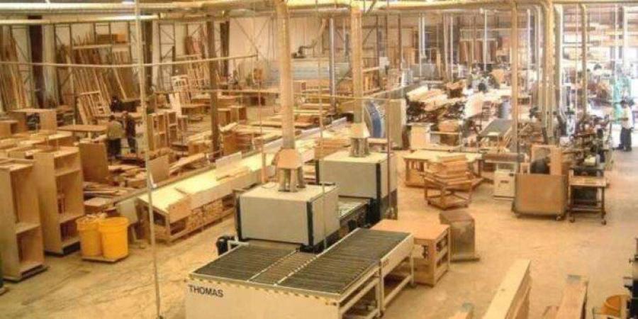 غرفة الأخشاب: نمو الصادرات 5% يعكس تحسن تنافسية القطاع.. وتعميق التصنيع يدعم التوسع خارجيا - تواصل نيوز
