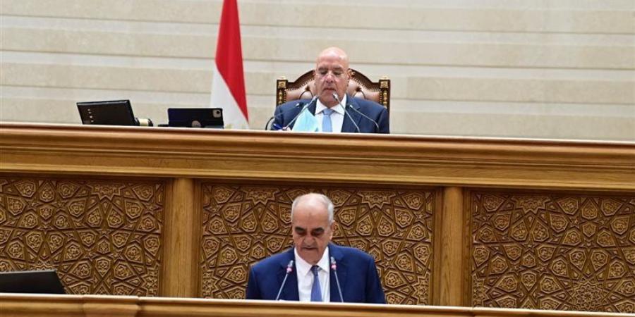 نائبة بالجلسة الطارئة بالبرلمان: فلتبقى حقوق المصريين مصانة ولترحل الحكومة - تواصل نيوز