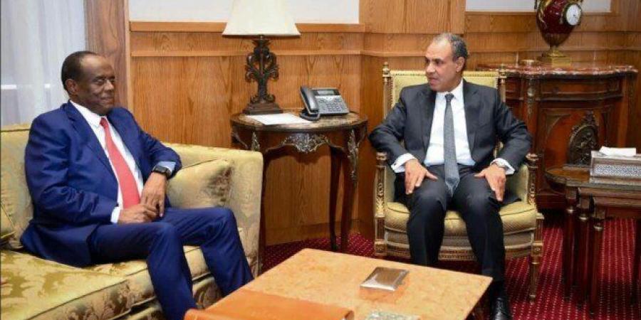 وزير الخارجية يبحث مع مستشار الرئيس الإريتري تعزيز التعاون الاقتصادي - تواصل نيوز