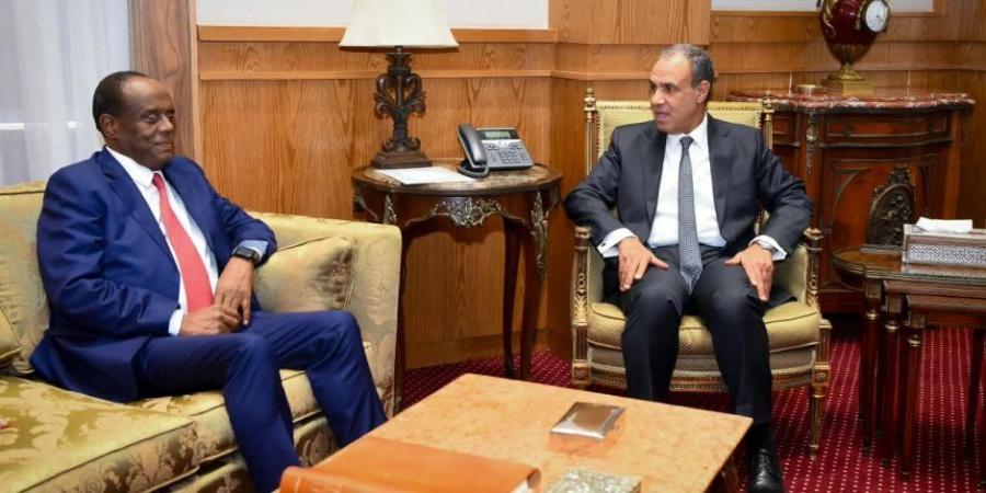 وزير الخارجية يبحث مع المستشار الاقتصادي للرئيس الإريترى دفع التعاون الاقتصادي والتبادل التجاري - تواصل نيوز