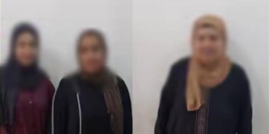 مشاجرة بين الحماة وزوجة الابن تصل للسوشيال ميديا، ضبط الطرفين وتبادل الاتهامات بالغربية - تواصل نيوز