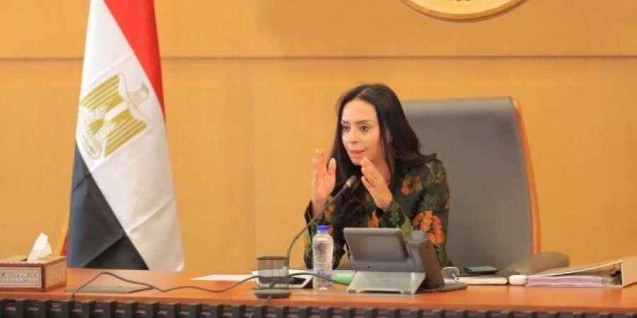 «التضامن الاجتماعي» تنتهي من المرحلة الأولى للزيارات الميدانية لمكاتب التسجيل والتوجيه - تواصل نيوز