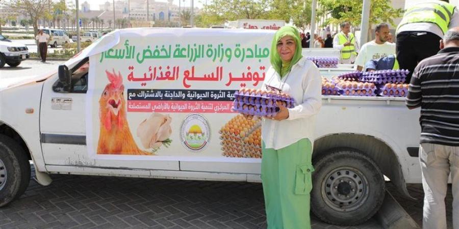 بتخفيضات 25%..«الزراعة» تطرح بيض المائدة في سيارات بالقاهرة والجيزة - تواصل نيوز