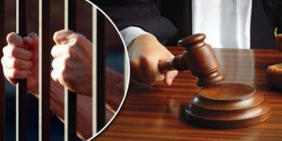 اليوم.. استكمال محاكمة 11 متهمًا بـ"خلية داعش الهرم " - تواصل نيوز